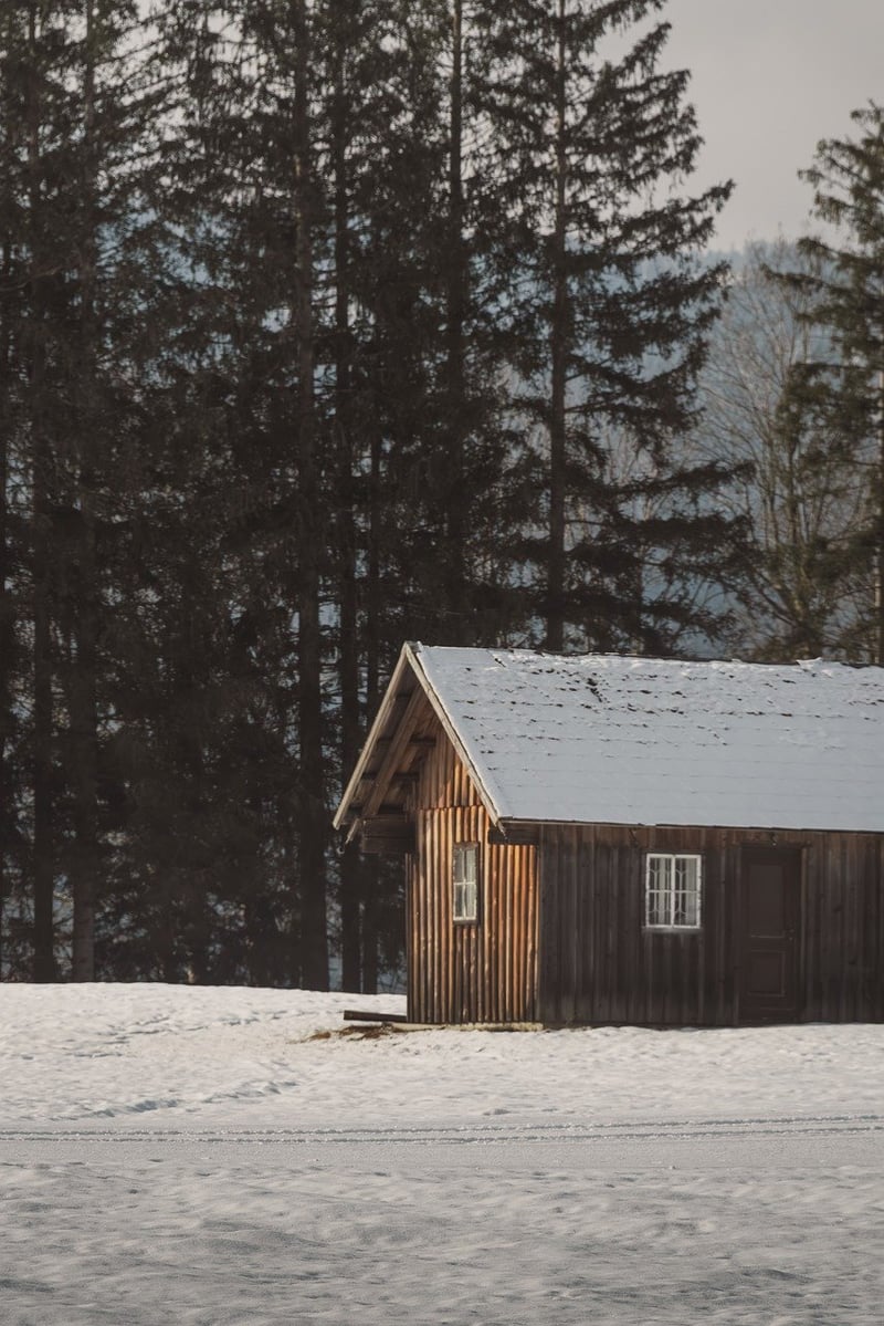 Forest Cabin Hideaway